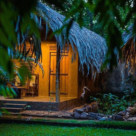مبيت وإفطار اوداوالاوي Private Organic House المظهر الخارجي الصورة
