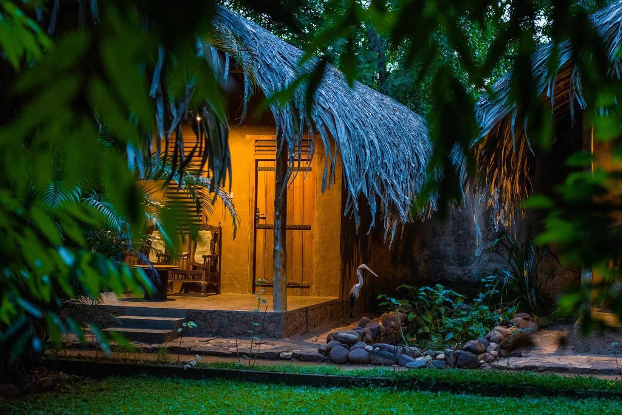 مبيت وإفطار اوداوالاوي Private Organic House المظهر الخارجي الصورة