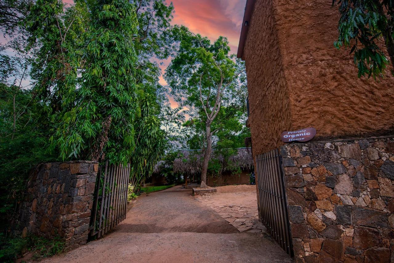 مبيت وإفطار اوداوالاوي Private Organic House المظهر الخارجي الصورة
