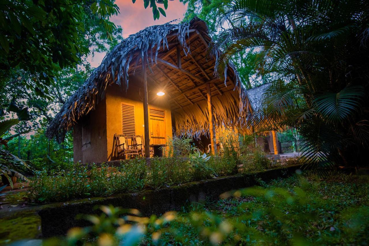 مبيت وإفطار اوداوالاوي Private Organic House المظهر الخارجي الصورة