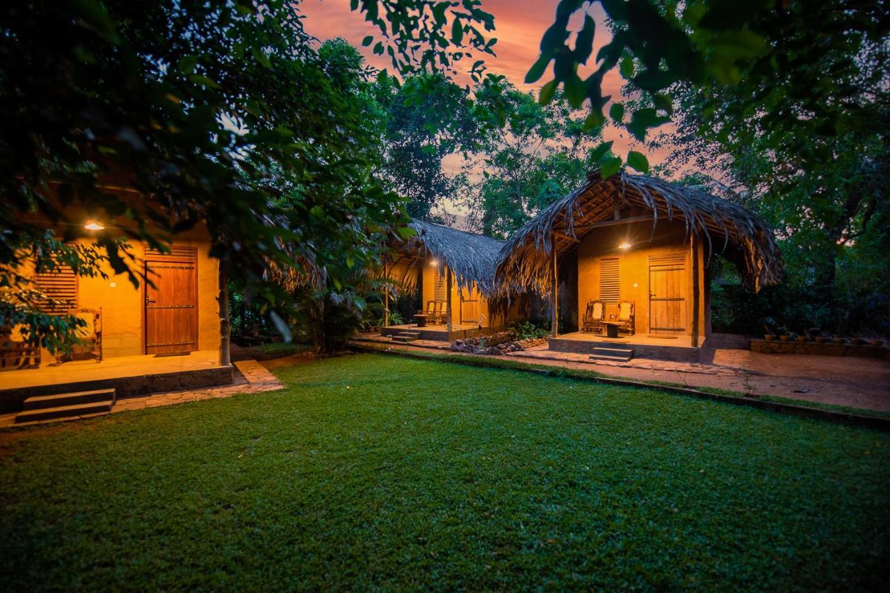 مبيت وإفطار اوداوالاوي Private Organic House المظهر الخارجي الصورة