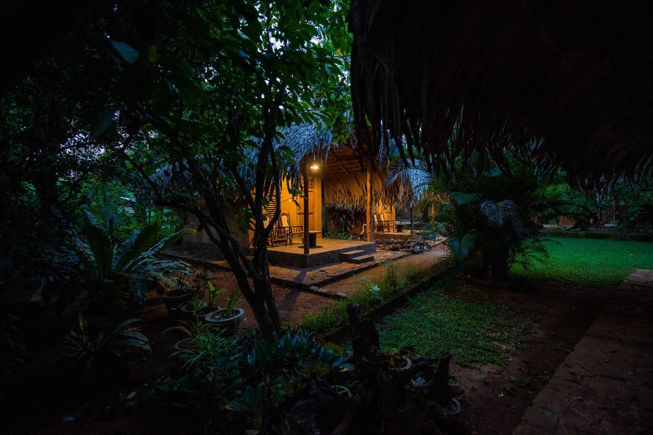 مبيت وإفطار اوداوالاوي Private Organic House المظهر الخارجي الصورة