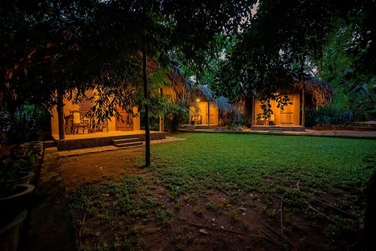 مبيت وإفطار اوداوالاوي Private Organic House المظهر الخارجي الصورة