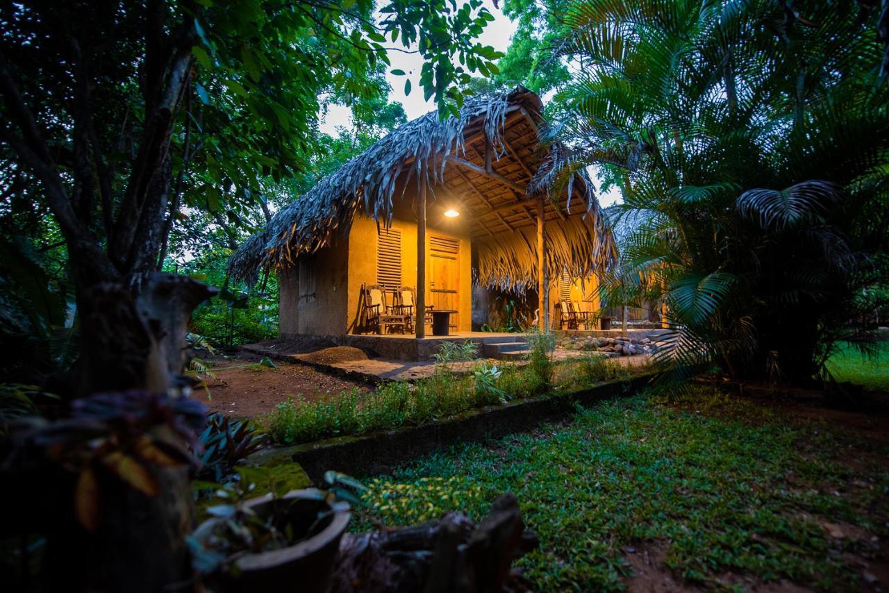 مبيت وإفطار اوداوالاوي Private Organic House المظهر الخارجي الصورة
